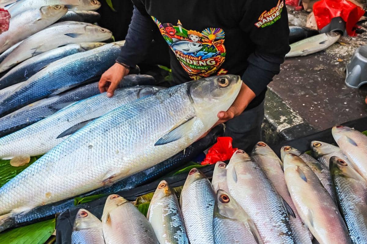 Potret ikan bandeng di pasar 