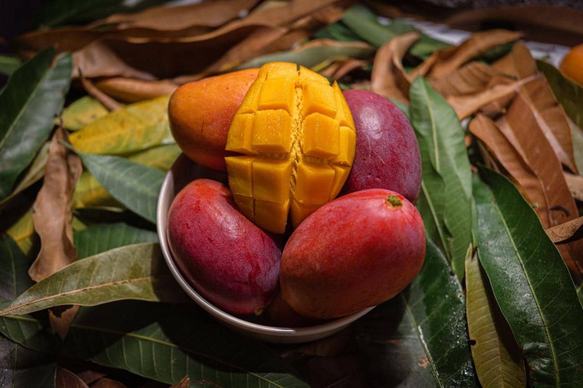 Buah mangga