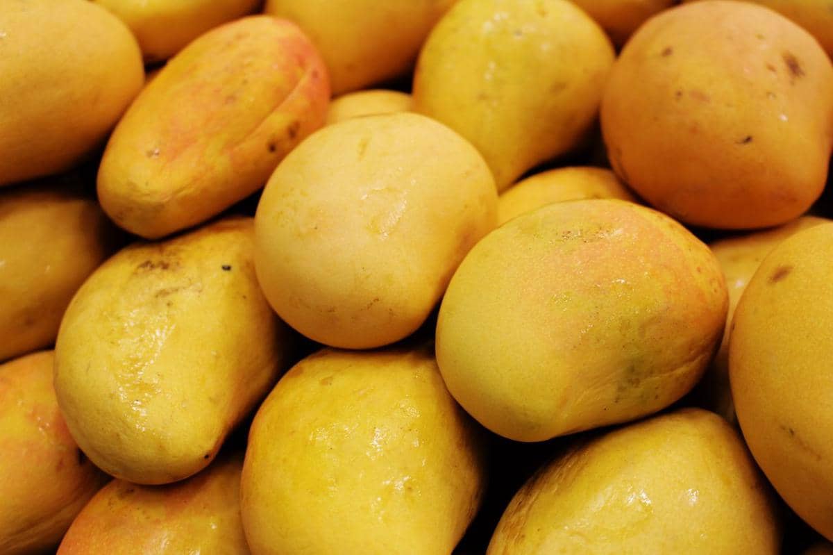 Apa yang Terjadi pada Tubuh jika Konsumsi Mangga Setiap Hari?