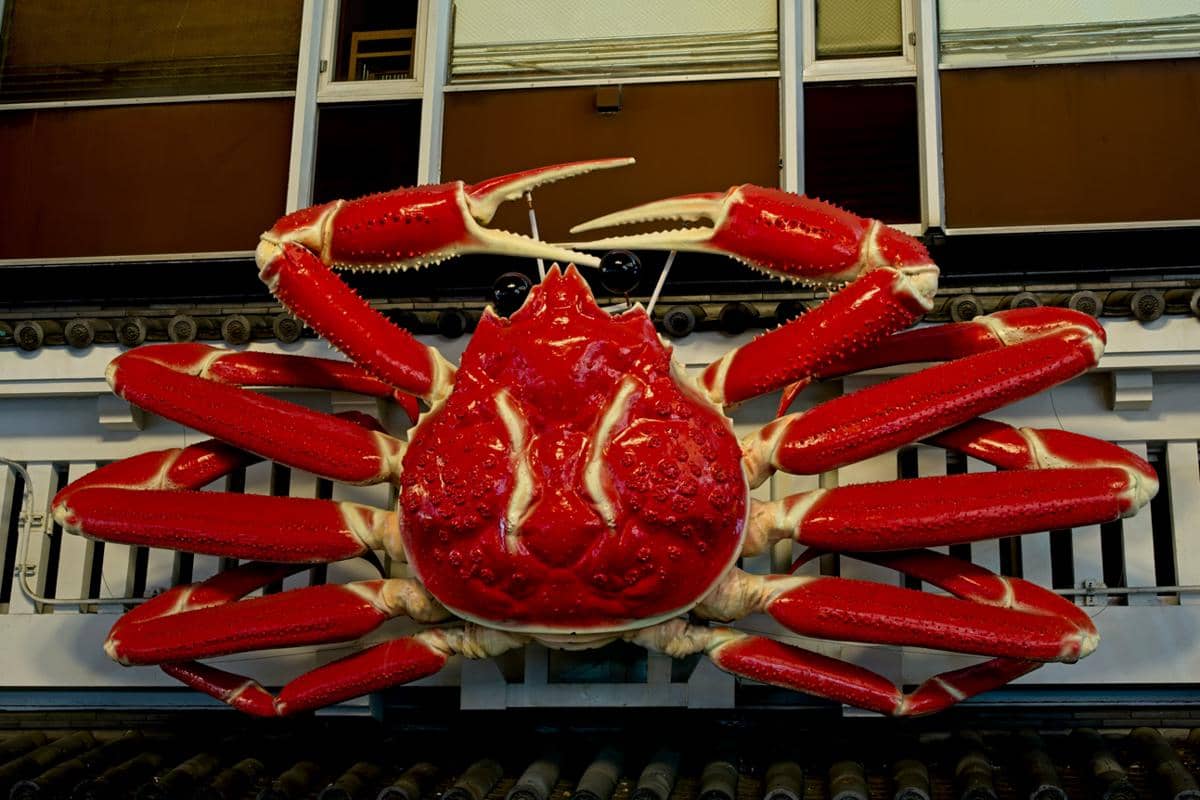 ilustrasi kepiting Kani Doraku