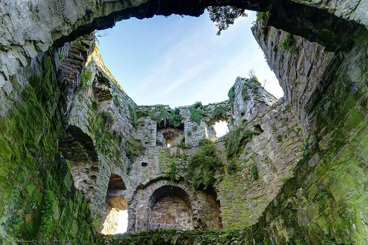 Trim Castle
