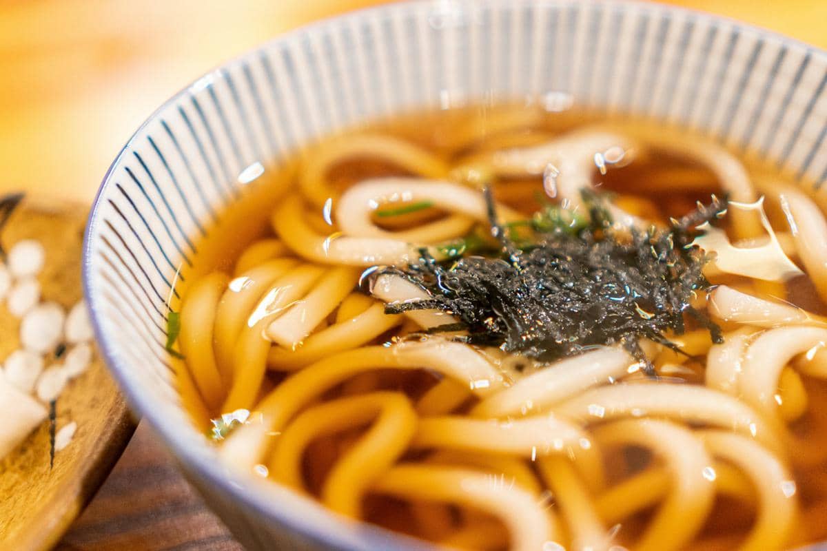 ilustrasi semangkuk udon