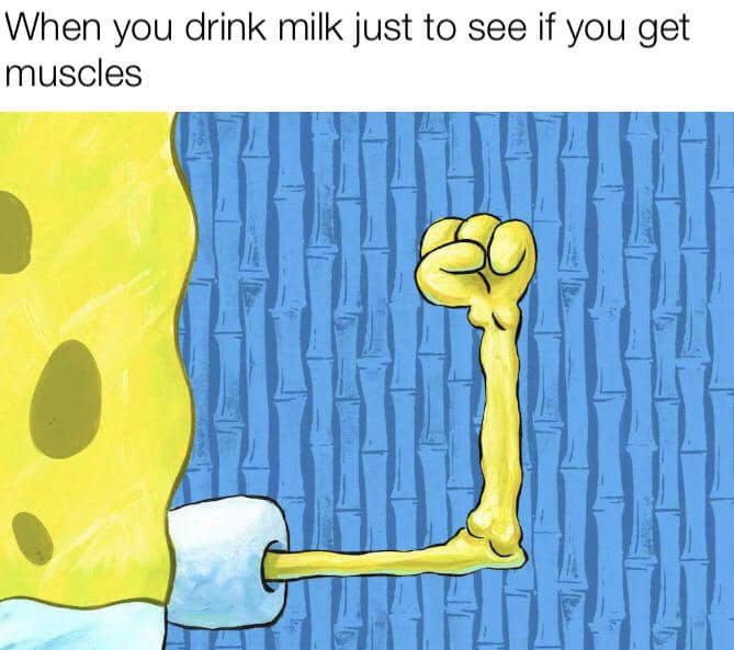 meme SpongeBob tentang susu