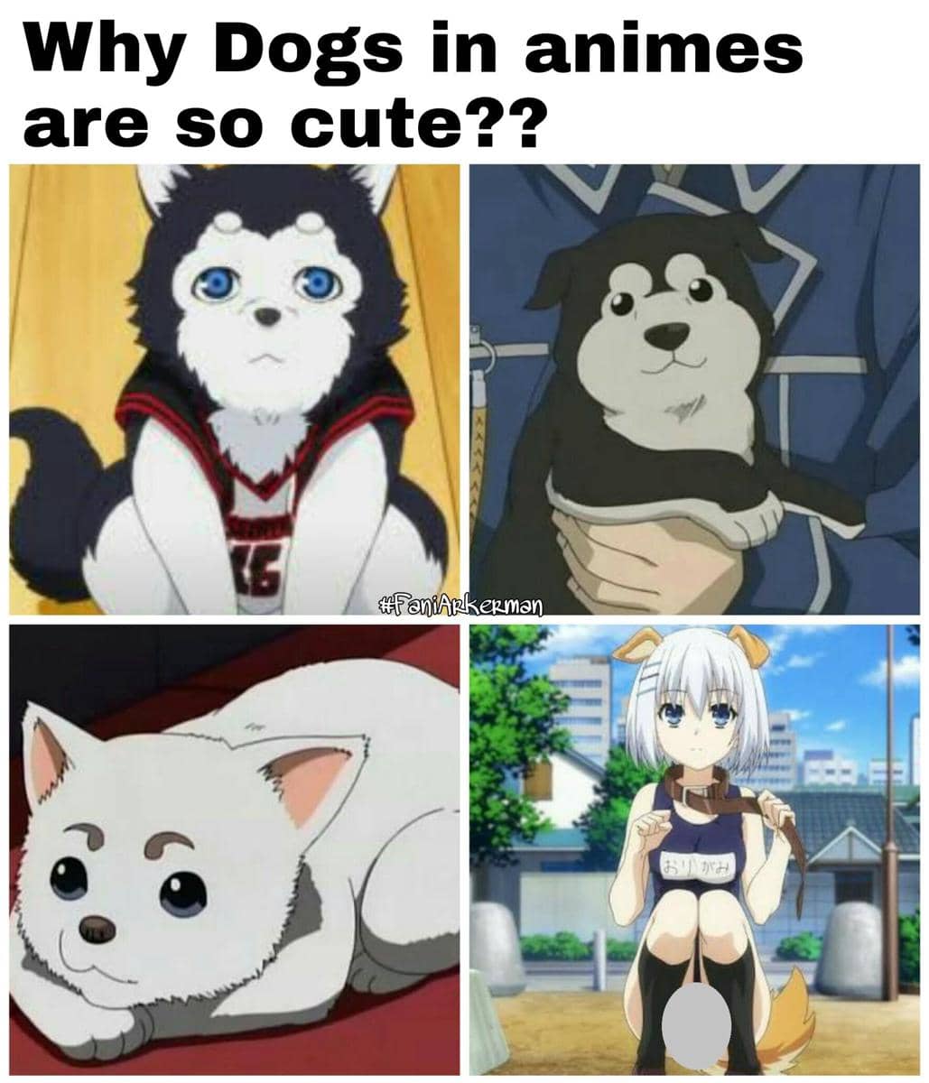 meme karakter anime cewek anjing