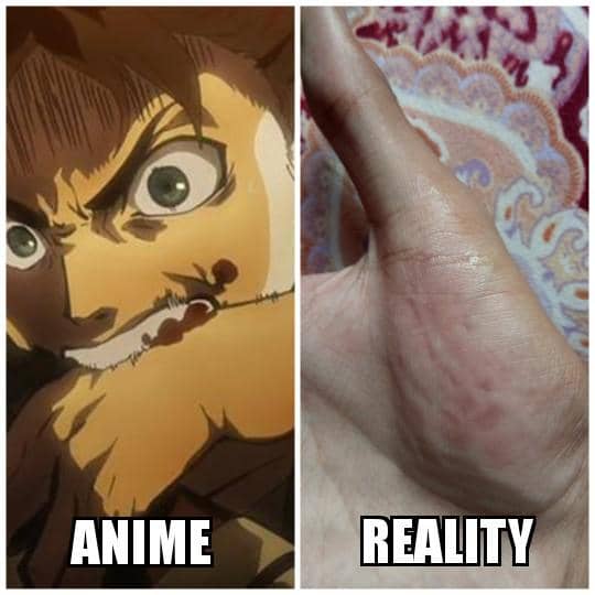 meme anime tentang tubuh berdarah