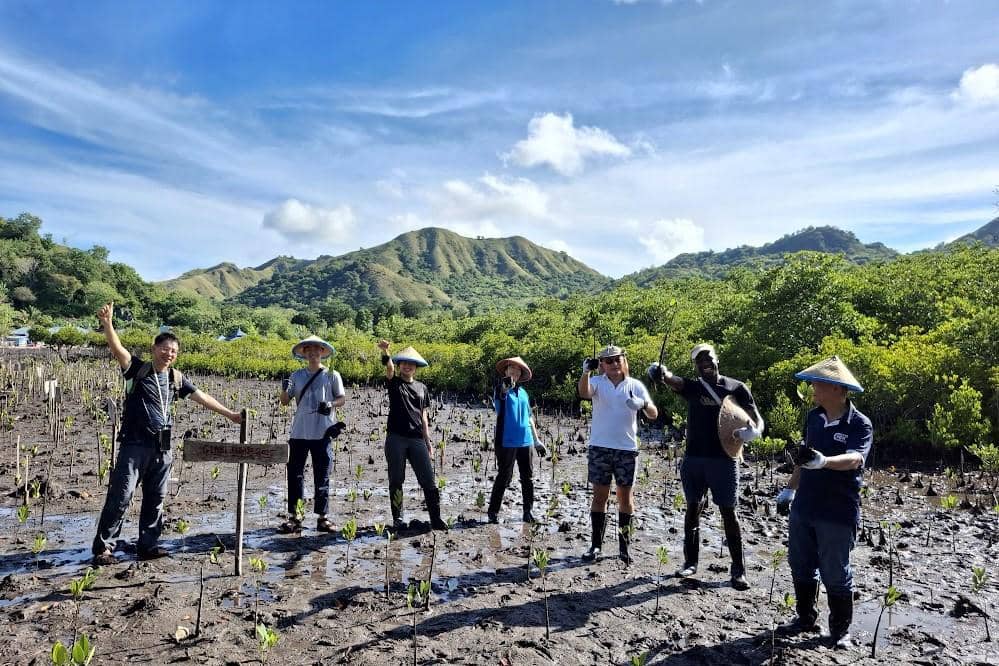 Potret kegiatan menanam mangrove di Desa Warloka Pesisir, Manggarai Barat, Nusa Tenggara Timur