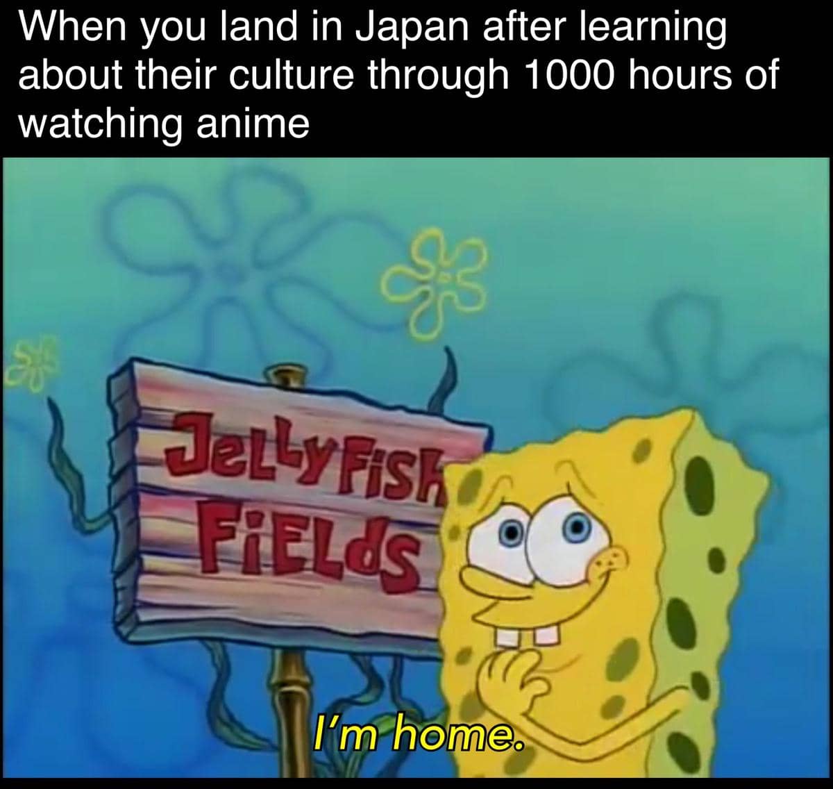meme SpongeBob tentang wibu
