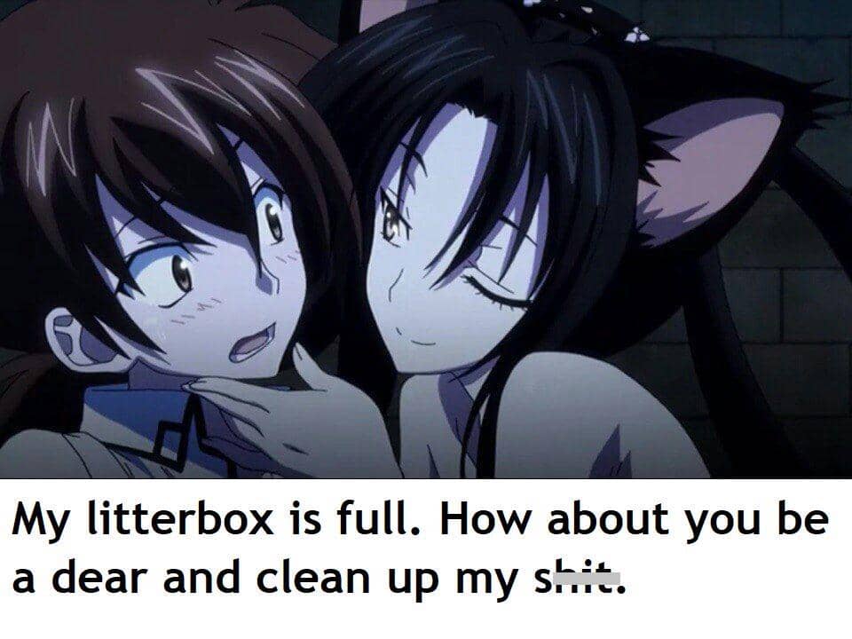 meme karakter anime cewek kucing