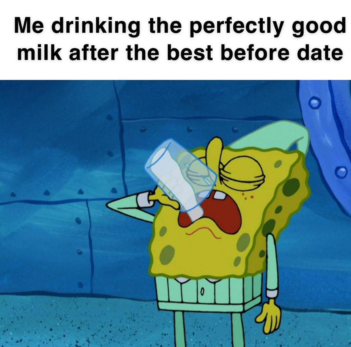 meme SpongeBob tentang susu
