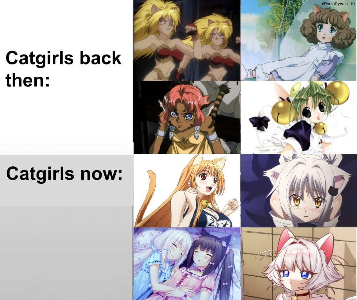 meme karakter anime cewek kucing