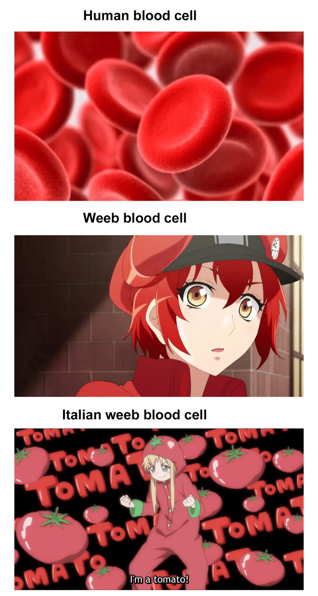 meme anime tentang tubuh berdarah