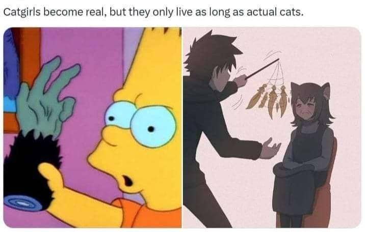meme karakter anime cewek kucing