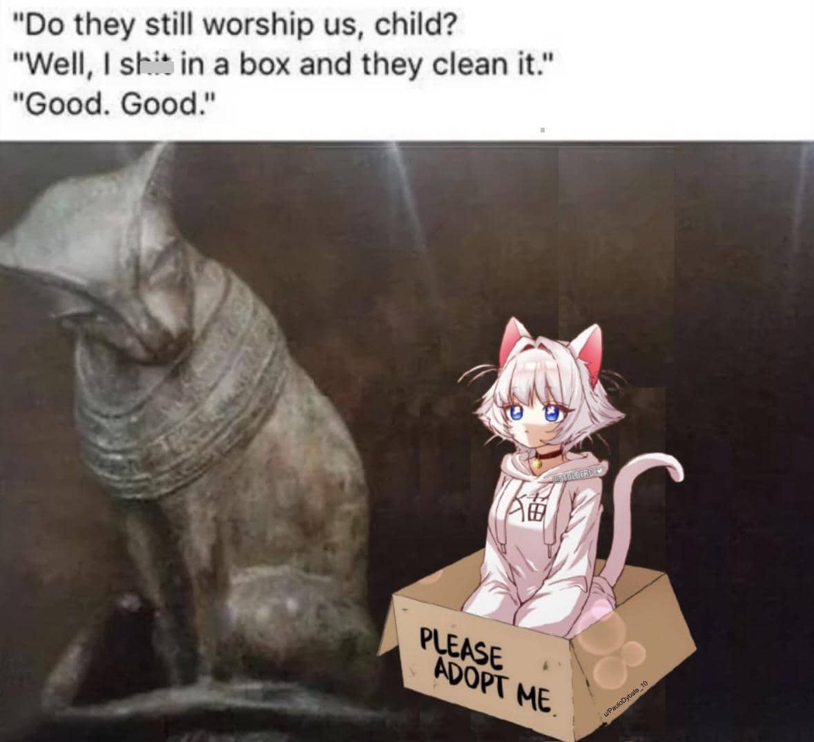 meme karakter anime cewek kucing