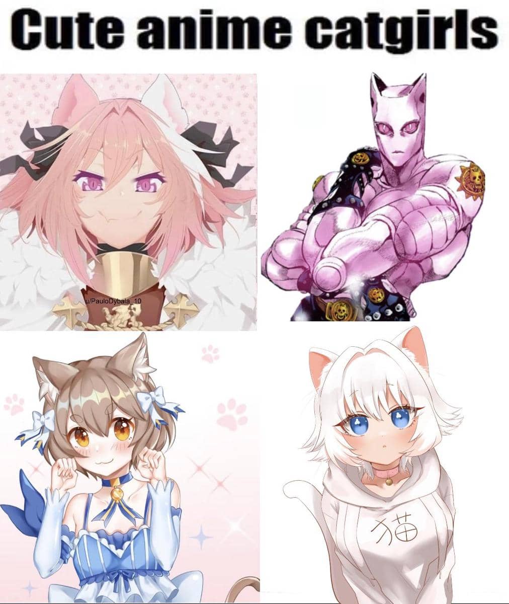 meme karakter anime cewek kucing