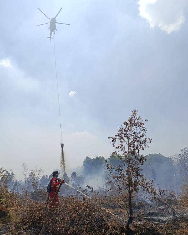Kemenhut Tegaskan Penanganan Karhutla Terus Berjalan di Lapangan