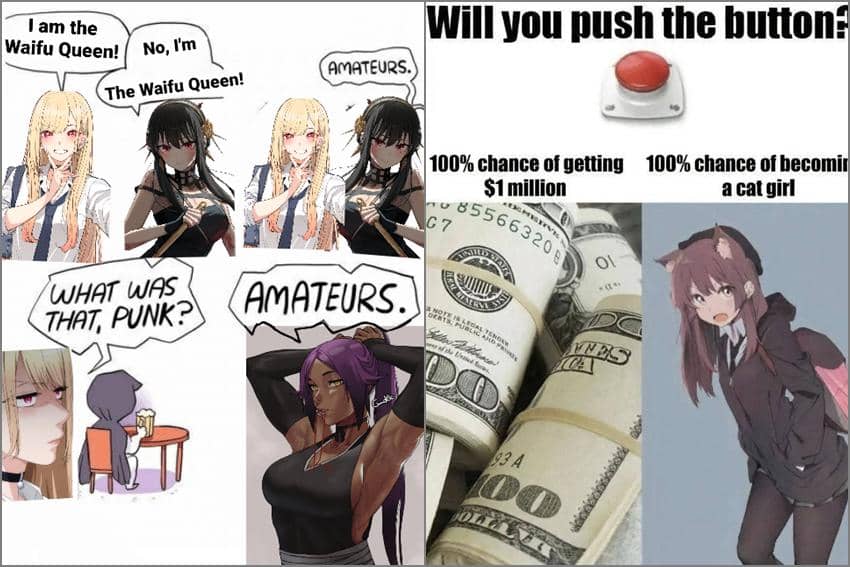 8 Meme Karakter Anime Cewek Kucing, Favorit Banyak Orang!