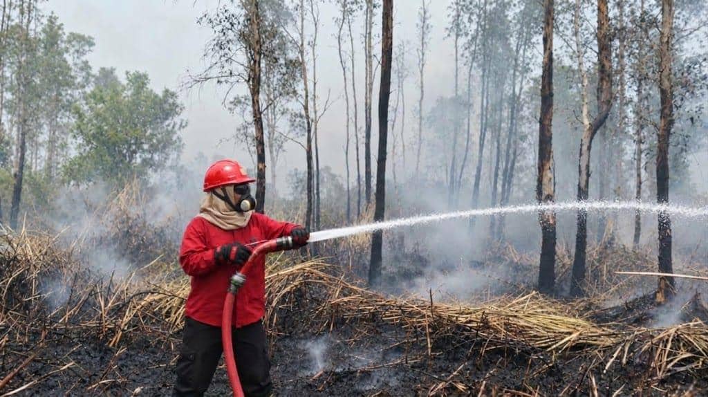 Kisah Dwi Dahlia, Mantan Perawat yang Kini Padamkan Karhutla di Sumsel