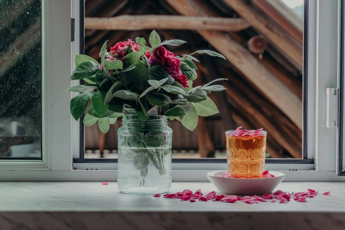 5 Tanaman Hias untuk Interior Cottagecore yang Estetik dan Alami