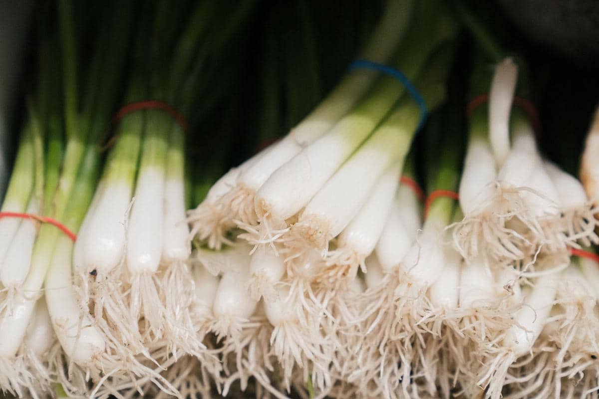 Sekumpulan daun bawang hijau segar dengan batang putih terhampar di atas permukaan kayu berwarna cokelat.