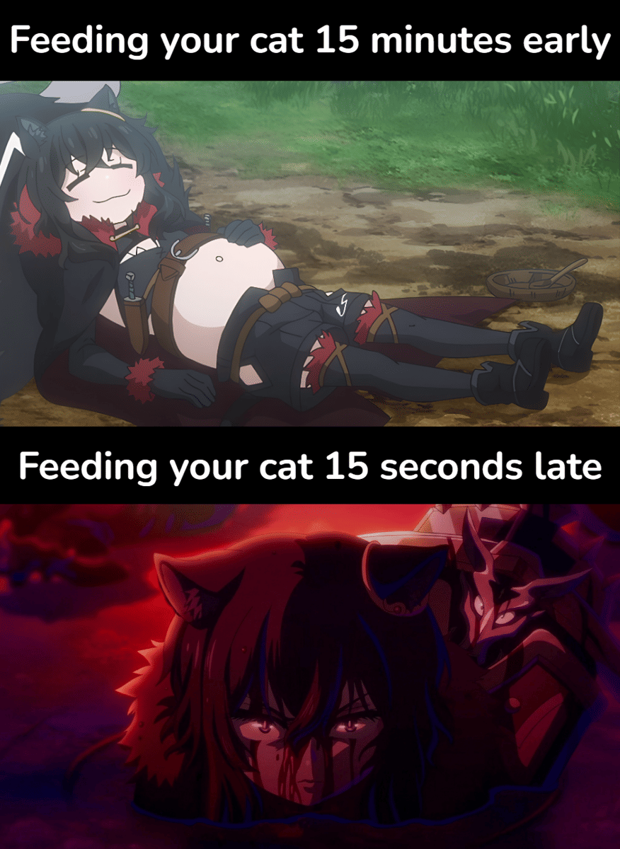 meme kucing tentang dualitas