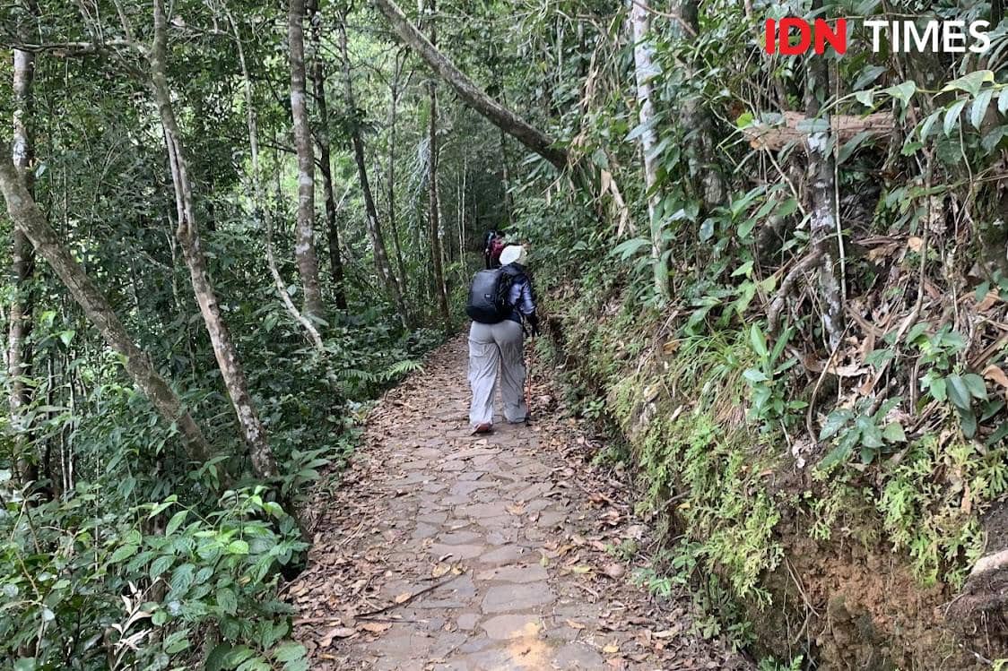 Potret trek dari Pos 3 ke Pos 4 Desa Waerebo