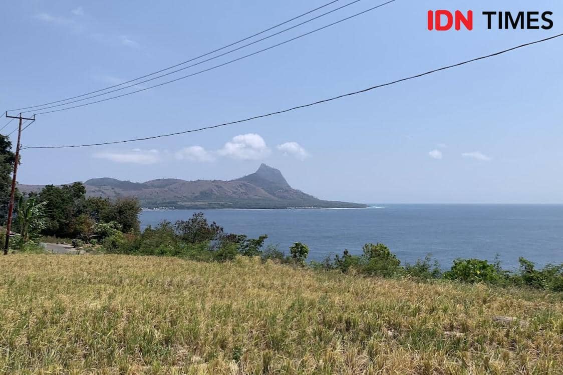 Potret Nuca Molas di Manggarai, Nusa Tenggara Timur