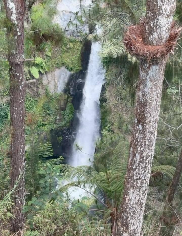 Titi Kamal liburan di Magelang