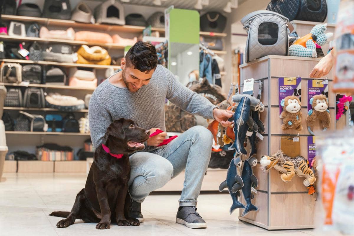5 Layanan Tambahan untuk Sumber Cuan Bisnis Pet Shop