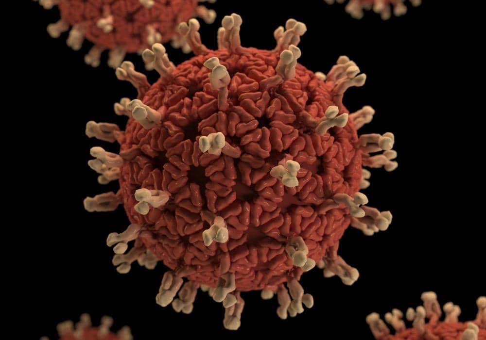 Virus polio