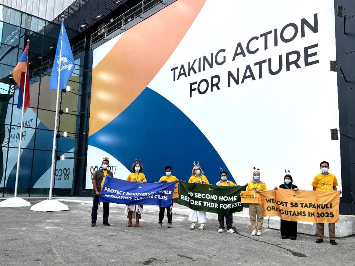 Desakan Perlindungan Orangutan Tapanuli Menggema di COP-17 Armenia