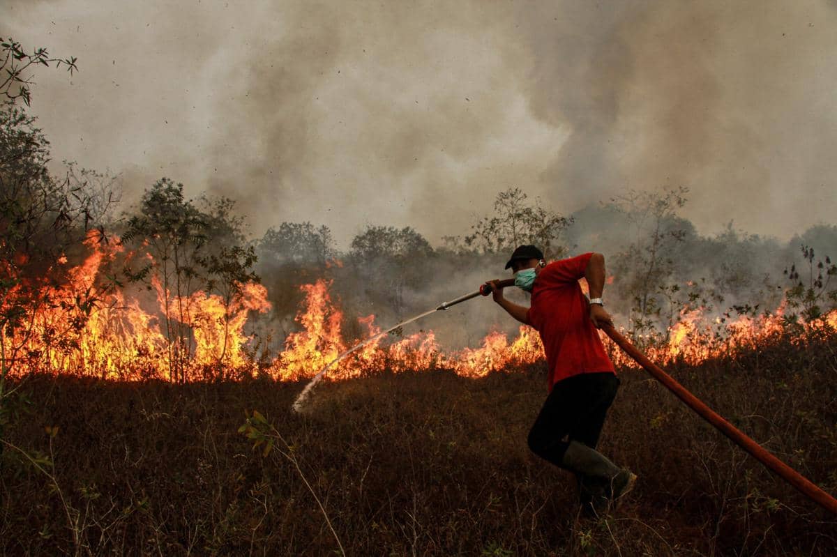Asap Karhutla Kian Tebal di Sampit, Bupati Kotim Ungkap Penyebabnya