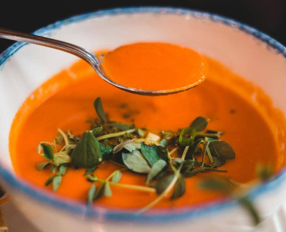 ilustrasi semangkuk cream soup