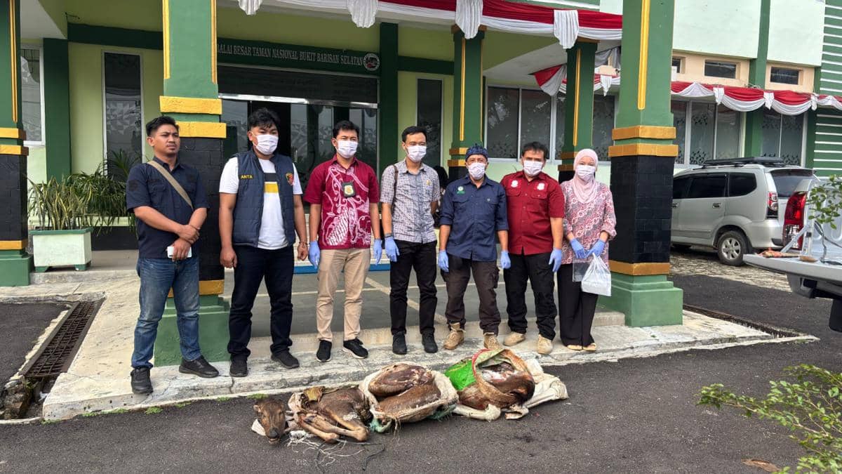 23 Kasus Kejahatan Terjadi di Kawasan TNBBS, 75 Pelaku Diproses Hukum