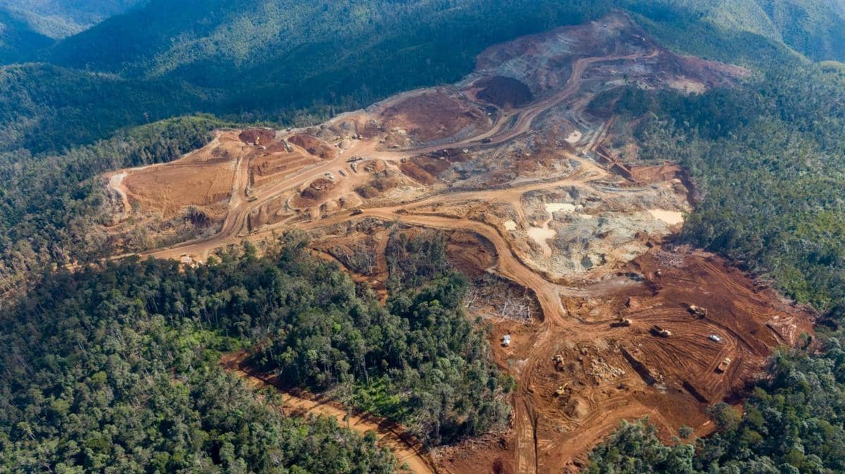 Forest Watch Indonesia: Deforestasi di Indonesia Meningkat 37 Persen