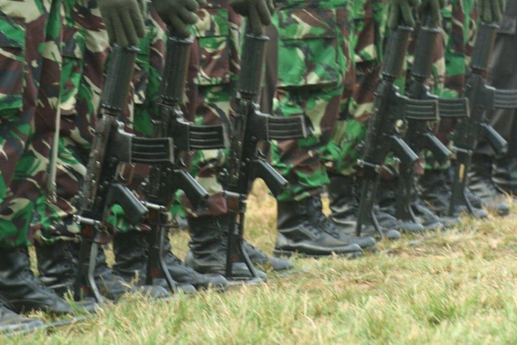 ilustrasi Tentara Nasional Indonesia, TNI