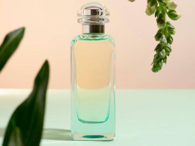 5 Rekomendasi Parfum Lokal Aroma Kelapa yang Wanginya Unik dan Hangat
