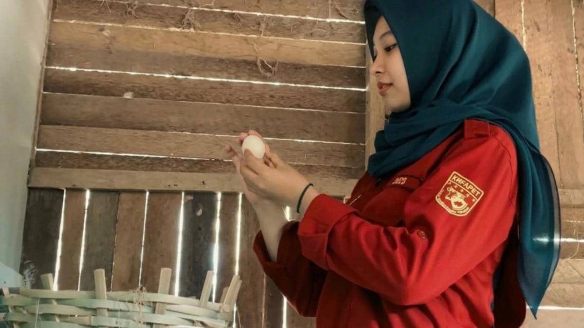 Anjeli Astriani, mahasiswa Fapet UGM, dan suasana peternakan ayam yang ia rintis dalam dokumentasi pribadi.