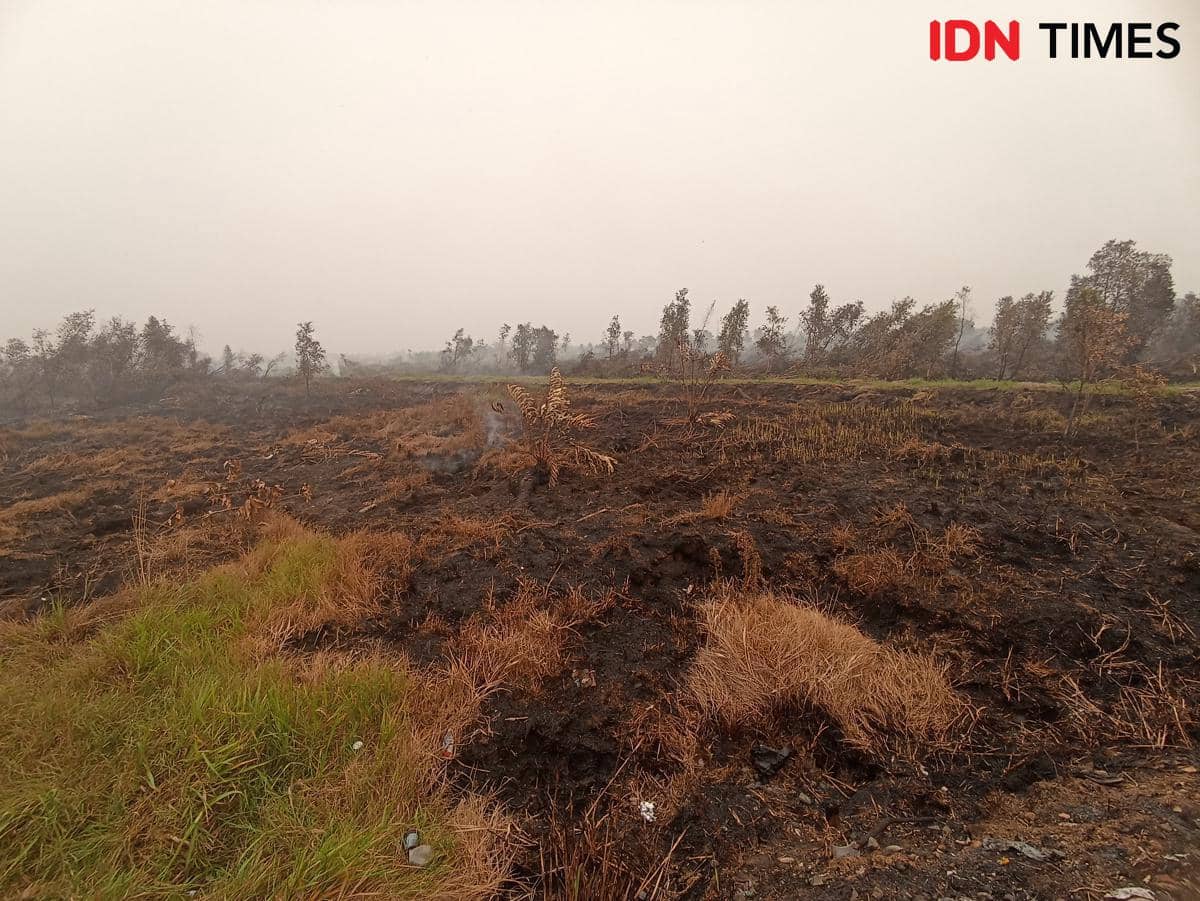 Tak Ada Langit Biru di Kalimantan, Helikopter Berjibaku Padamkan Api