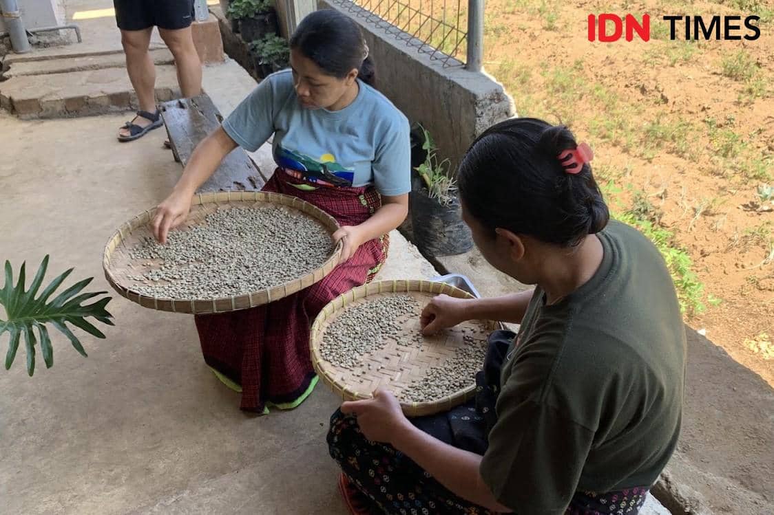Dua orang karyawan sedang memilah biji kopi di Delawa Coffee, Manggarai
