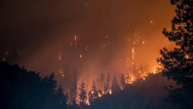 Kabut asap menyelimuti lingkungan dan mengurangi kualitas udara yang dapat berdampak pada kesehatan pernapasan.