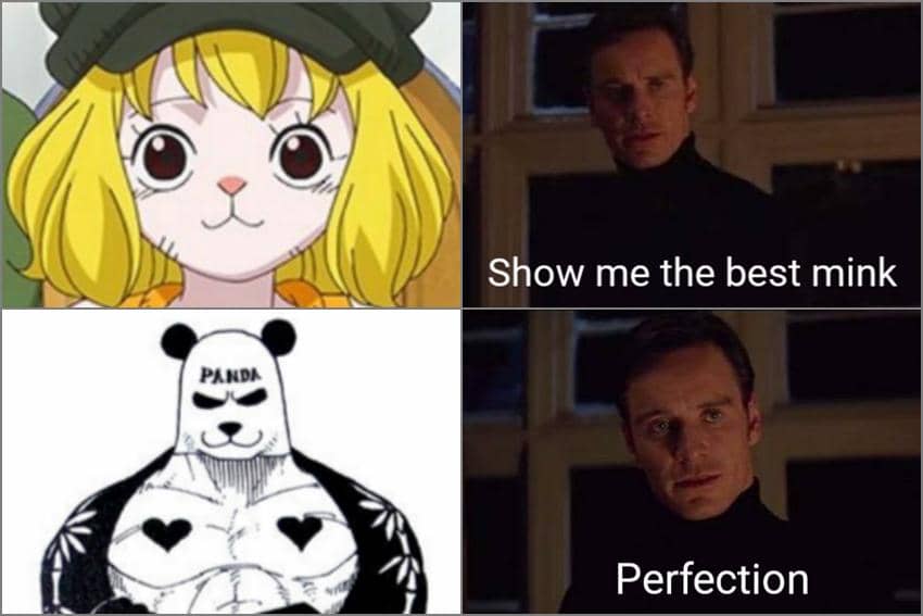 8 Meme Pandaman dari One Piece, Karakter Paling Misterius