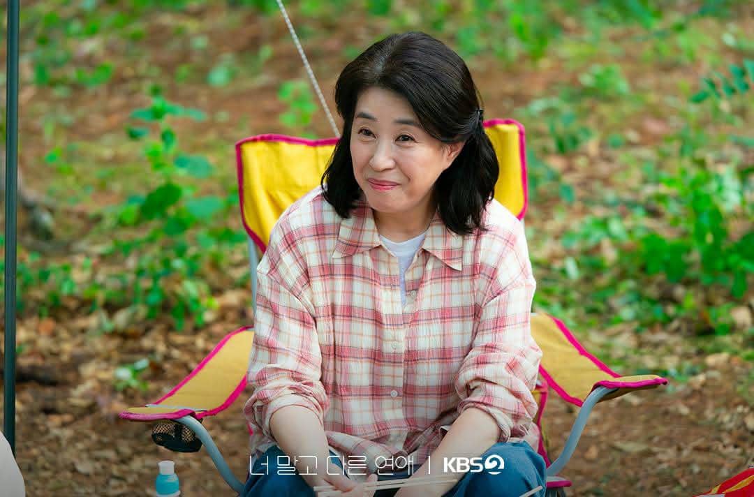 Kim Mi Kyung di drama A Love Other than Yours