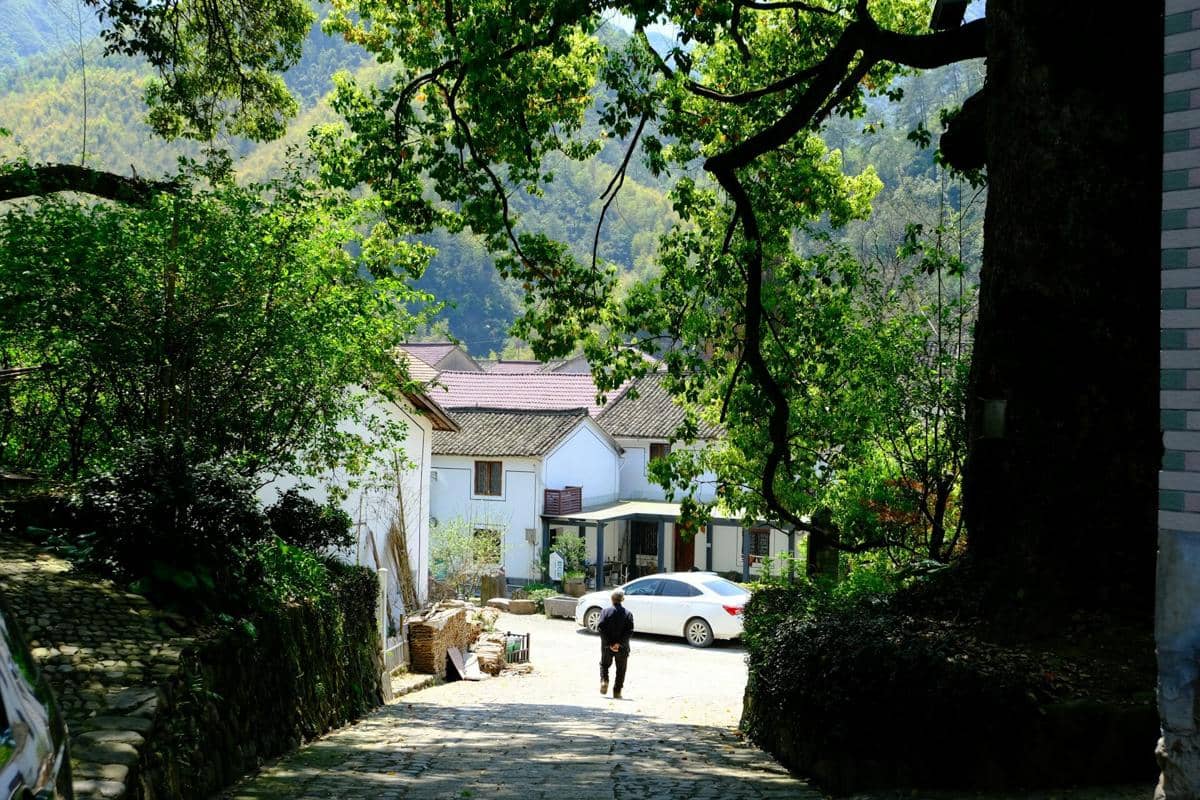 ilustrasi Maoping village, Tonglu, Hangzhou, Zhejiang, China, lansia sedang jalan kaki, rumah di desa