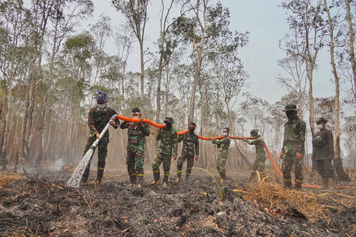 Kondisi kebakaran di bagian utara Taman Nasional Way Kambas (TNWK). (Dok. Pemprov Lampung).