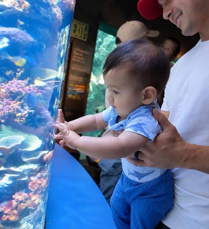 Aurelie Moeremans ajak anak jalan-jalan ke Aquarium of the Pacific