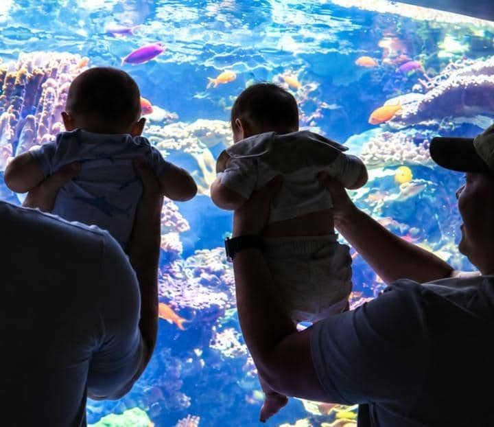 Aurelie Moeremans ajak anak jalan-jalan ke Aquarium of the Pacific