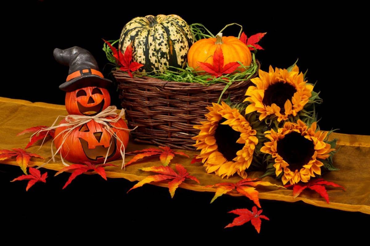 13 Ide Rangkaian Bunga untuk Hadiah Halloween, Wajib Dicoba!