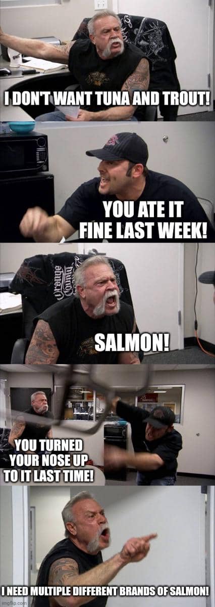 meme kucing tentang pekan