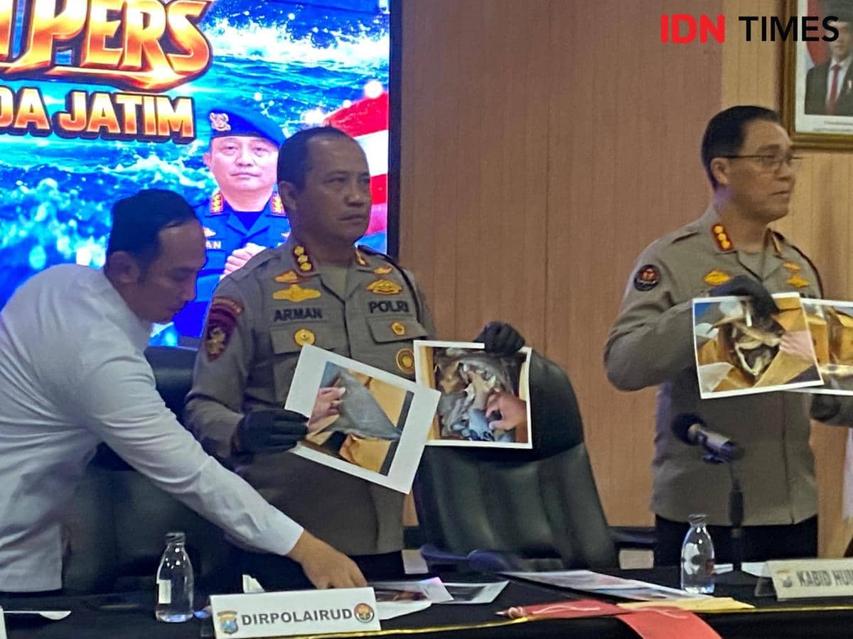 Sirip dan Insang Hiu Senilai Rp200 Juta Diselundupkan di Tanjung Perak