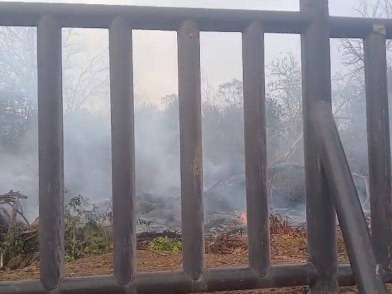 Viral Karhutla Lalap Pagar Barrier, Balai TNWK: Itu Zona Rehabilitasi